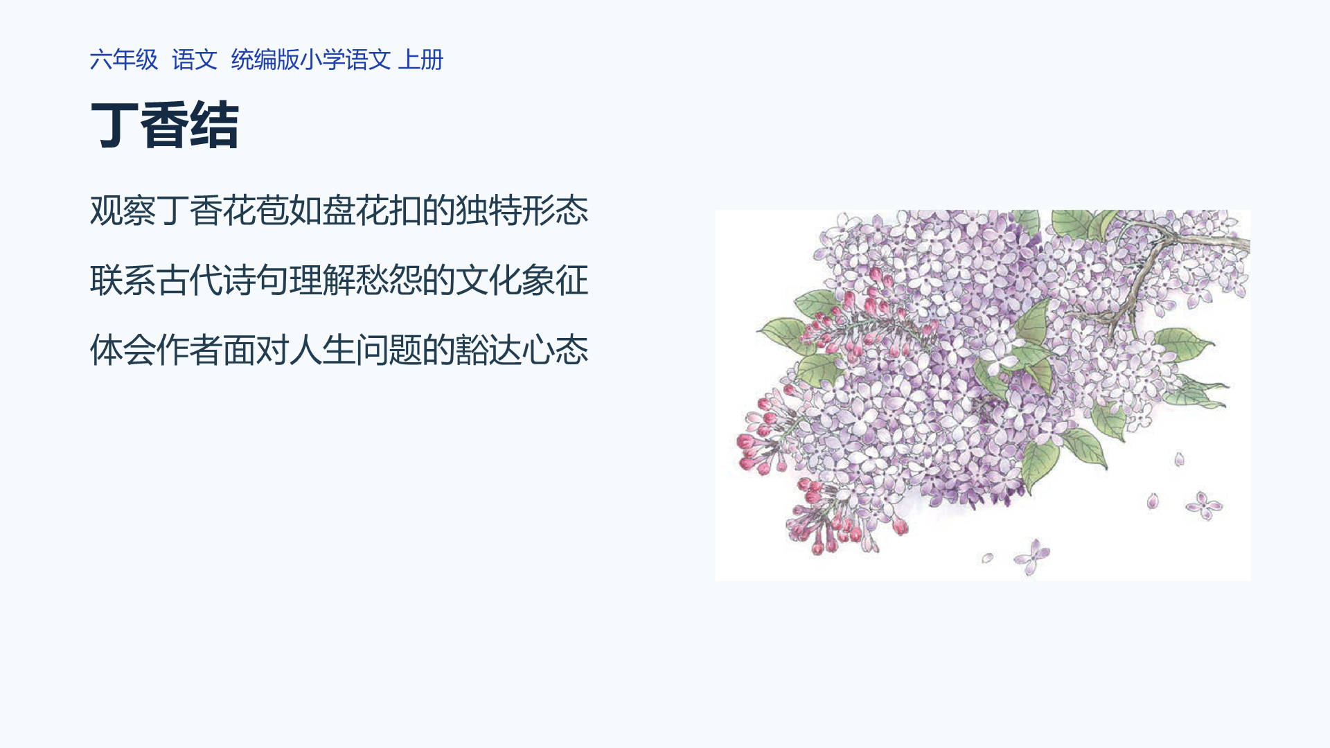 丁香结课件封面